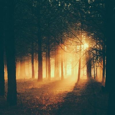 手机阅读《九游体育(中国)官方网站|APP下载》