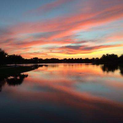 唱响开放合作“协奏曲”