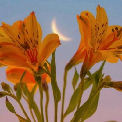 日本2月服务业通胀率升至2.7%四赴雄安 对“未来之城”再部署