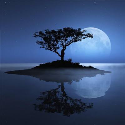 娱乐平台登录注册