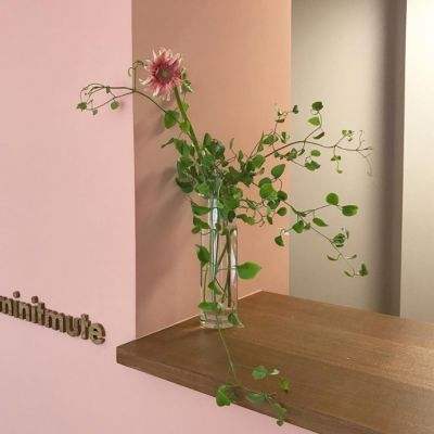 ky888.com正版手游app截图