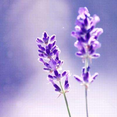 喜报 | 零点自动化斩获2026 CAIM...