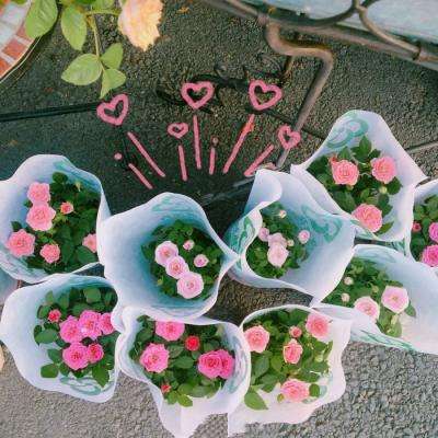 霍尔木兹，最新消息！黄金，直线拉升