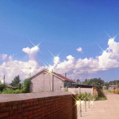 回应马斯克:AI替代就业没那么悲观丨陆铭专栏