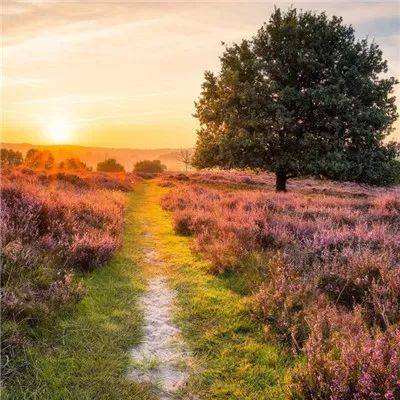 欧洲债市：德国和英国国债短端收益率随油价升 欧洲央行加息押注升温