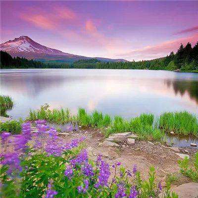 智利欧洲理事会主席科斯塔:难以预料伊朗战争的持续时间和影响。