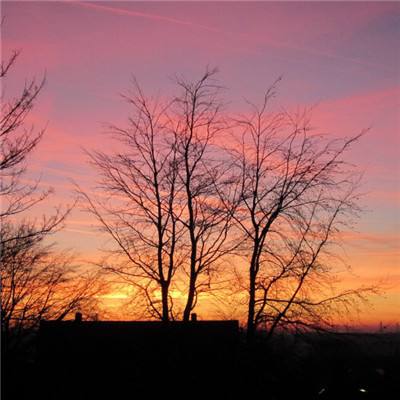 外电军情|西媒讽特朗普:“美国优先”帮普京走出困境