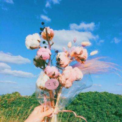 ob真人平台入口