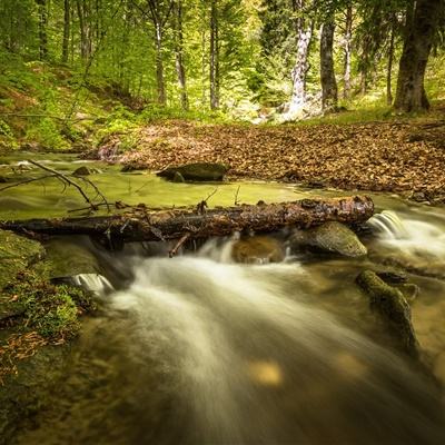 4g平台app下载安装正版最新版v9.8.1.1截图4