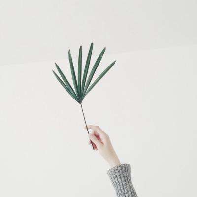 中期流动性加量投放 央行开展5000亿元MLF操作