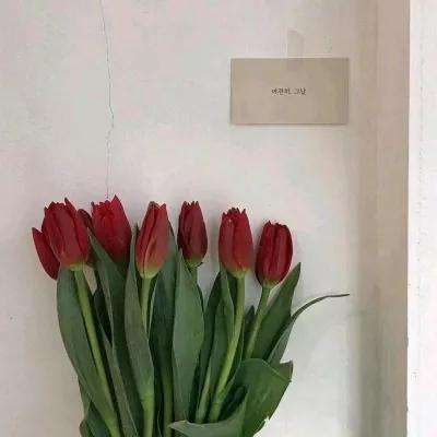 券商ETF（159842）涨1.21%，成交额3.46亿元