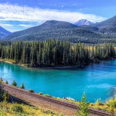 真的脱光了!北京奥森光猪跑 比基尼美女抢镜