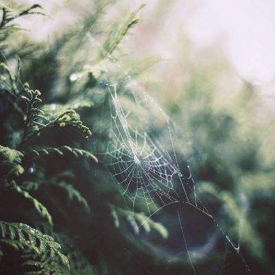 法系在华销冠车型降价20%:可选手动挡,车名叫凡尔赛