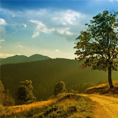 车祸模拟器竞技场