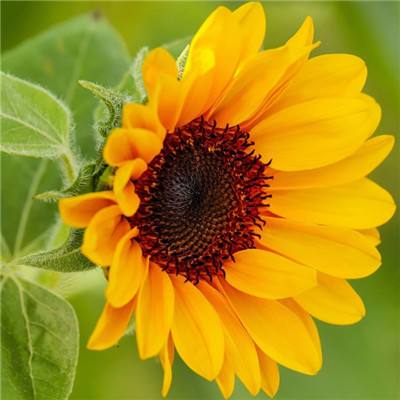 365best体育官网登录