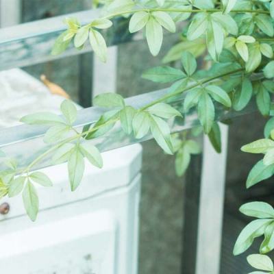 14个国家开了一场会 人民币成为“硬通货”