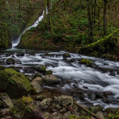 植物大战僵尸经典版手机