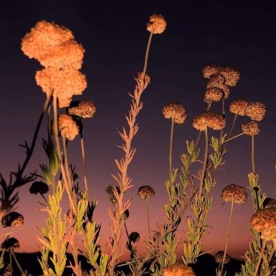 年轻人为什么青睐零食店