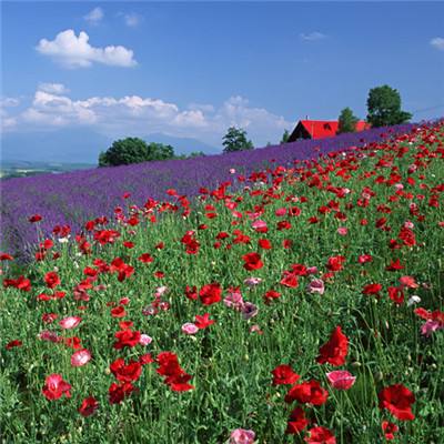 A股收评:三大指数均跌超1% 沪深两市成交额跌破2万亿