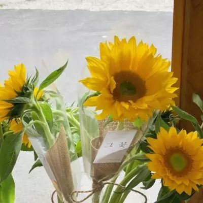 索尼、本田叫停电动汽车合资项目