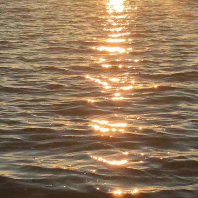 无基石加持、股价40港元起，年销4.7亿颗芯片的傅里叶半导体IPO突遭专利诉讼