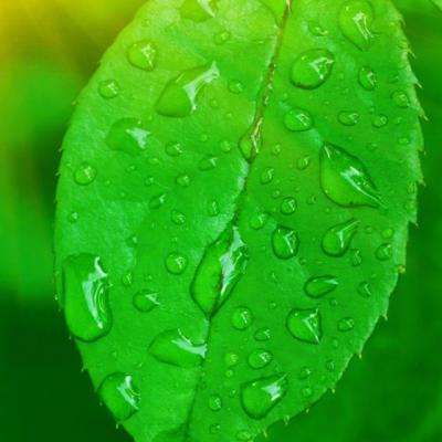 08体育登录安装正版最新版v1.0.0.7截图2