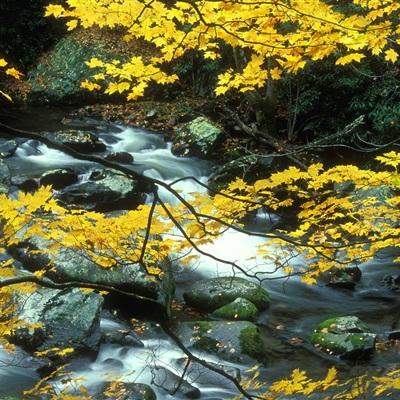 游戏修改器免root