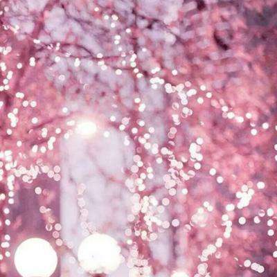 Manus终于喝下自己藏好的毒