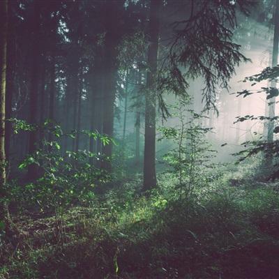 送检4个LV包均为假!消费者:都是在专柜买的,LV专柜回应