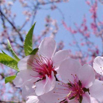 永乐国际棋牌app官方版