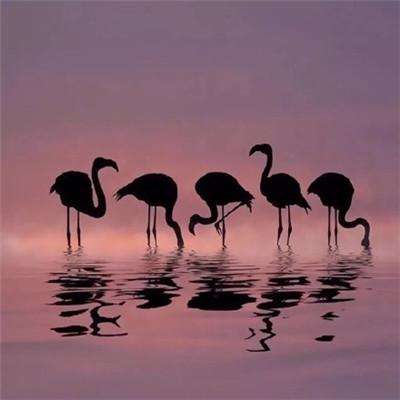 米乐yy体育官网评测