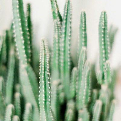 高盛前掌门人Blankfein警告 私募市场暗藏“着火”风险